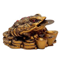 Feng Sui Frog, Frog With Coin, Vaastu Frog With Coin, Polyresin Frog With Coin